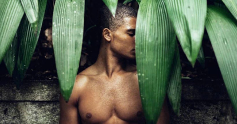 Avec le compte Instagram Boys With Plants, le jardinage n’a jamais été aussi sexy