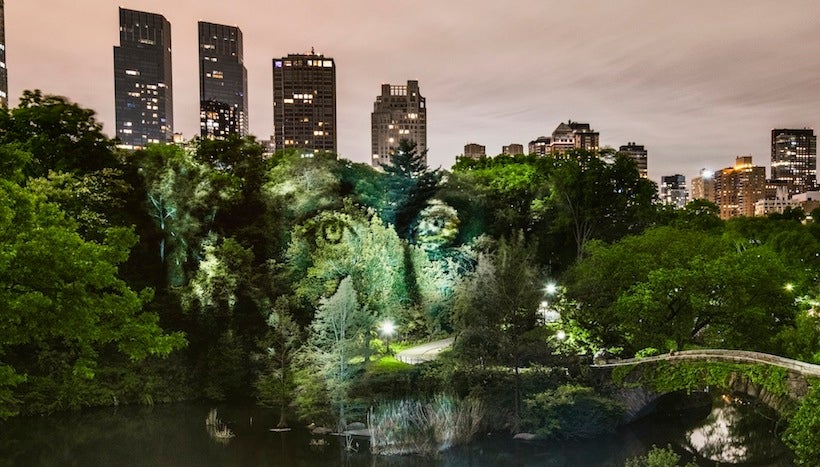 Philippe Echaroux illumine Central Park avec ses projections de portraits de New-Yorkais