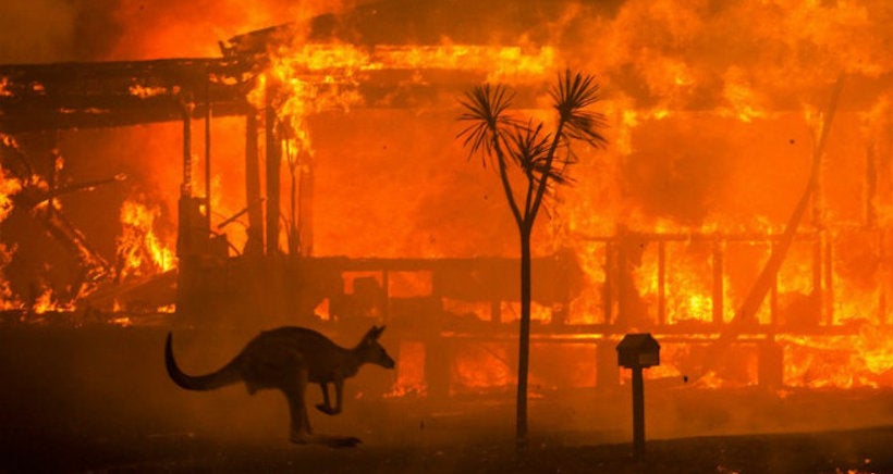 En images : l'Australie dévorée par des flammes hors de contrôle