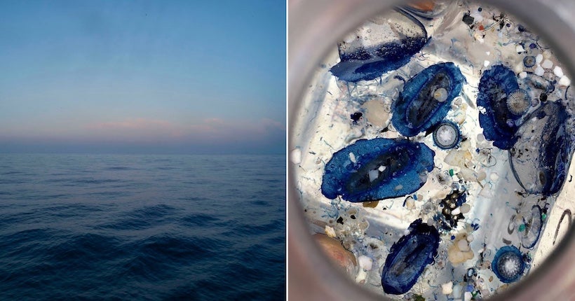 Les "larmes de sirènes" des océans du monde entier documentées par Samuel Bollendorff